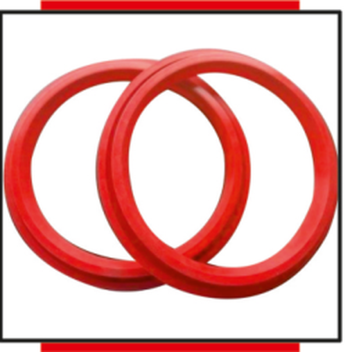 Dome Seal